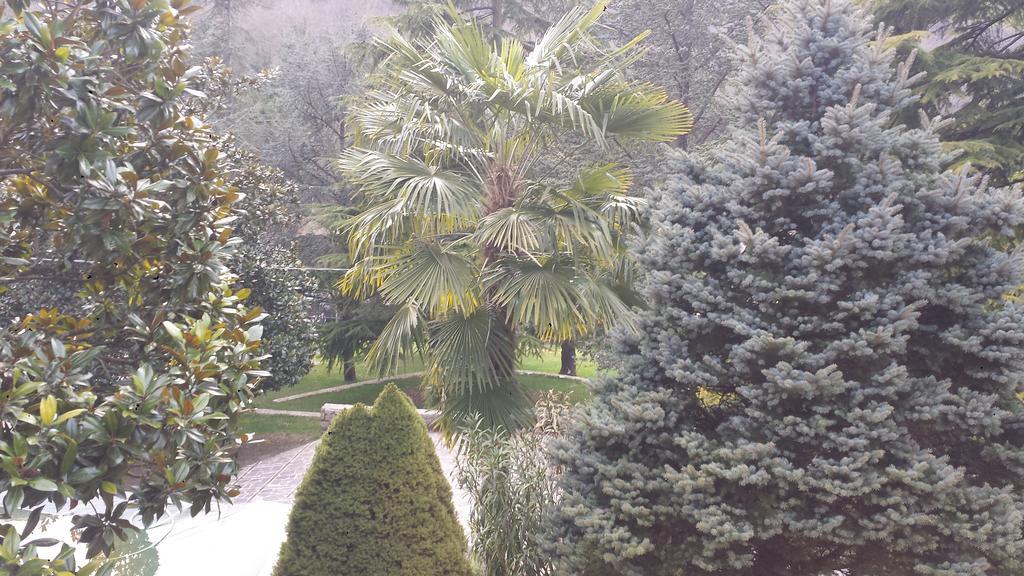 Fontana Vecchia Bed & Breakfast Atina Exterior foto